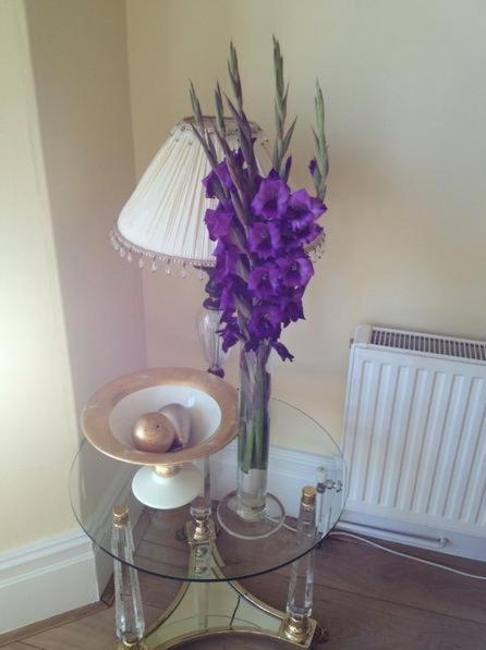 Number27Harrogate Bed and Breakfast Exteriör bild